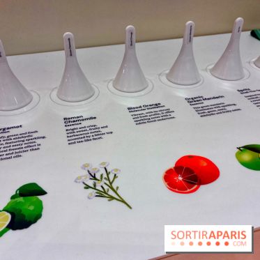 Paris Perfume Week