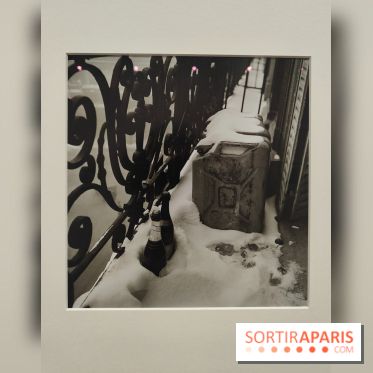 Lee Miller : une exposition consacrée à la photographe américaine au Musée d’Art Moderne de Paris