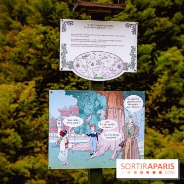 Château de Courson et son domaine : Parc Botanique et Jardin Remarquable en Région Parisienne  - A7C02957