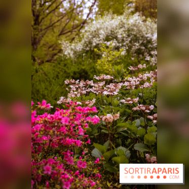 Château de Courson et son domaine : Parc Botanique et Jardin Remarquable en Région Parisienne  - A7C02953