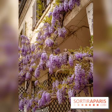 Château de Courson et son domaine : Parc Botanique et Jardin Remarquable en Région Parisienne  - A7C03024