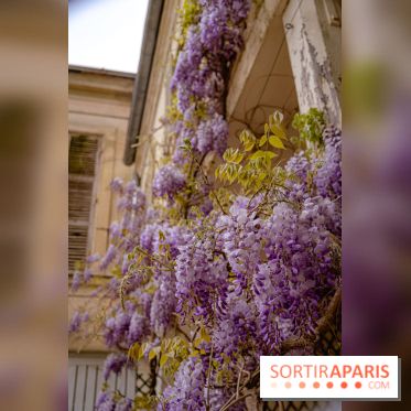Château de Courson et son domaine : Parc Botanique et Jardin Remarquable en Région Parisienne  - A7C03026