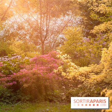 Château de Courson et son domaine : Parc Botanique et Jardin Remarquable en Région Parisienne  - A7C02951 Edit
