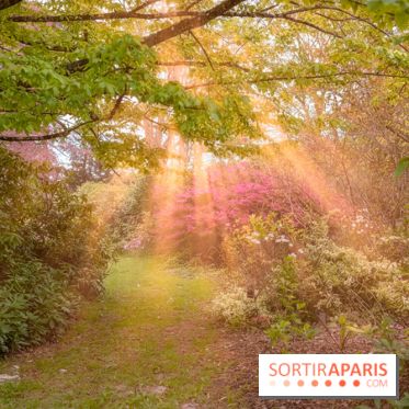 Château de Courson et son domaine : Parc Botanique et Jardin Remarquable en Région Parisienne  - A7C02954 Edit
