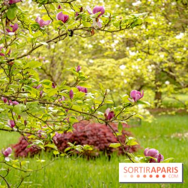 Château de Courson et son domaine : Parc Botanique et Jardin Remarquable en Région Parisienne  - A7C02900