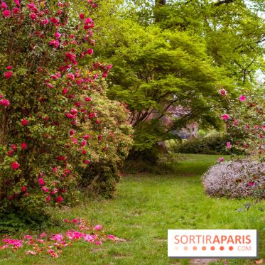 Château de Courson et son domaine : Parc Botanique et Jardin Remarquable en Région Parisienne  - A7C02940 HDR