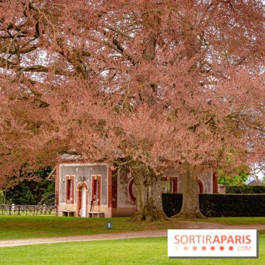 Château de Courson et son domaine : Parc Botanique et Jardin Remarquable en Région Parisienne  - A7C02880