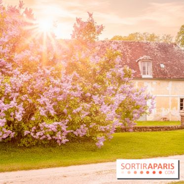 Château de Courson et son domaine : Parc Botanique et Jardin Remarquable en Région Parisienne  - A7C02883 Edit