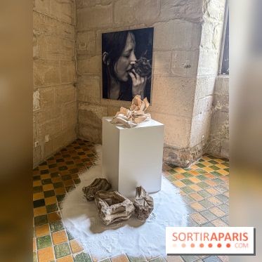 Inkarna : l’exposition de Yosra Mojtahedi à l’Abbaye de Maubuisson