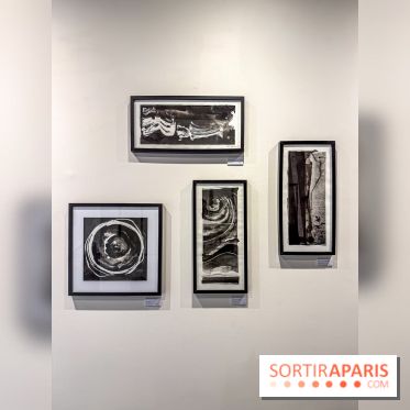 Fantôme à la galerie La Lison : exposition Avant les cendres