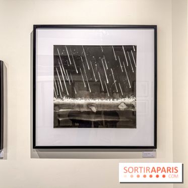 Fantôme à la galerie La Lison : exposition Avant les cendres