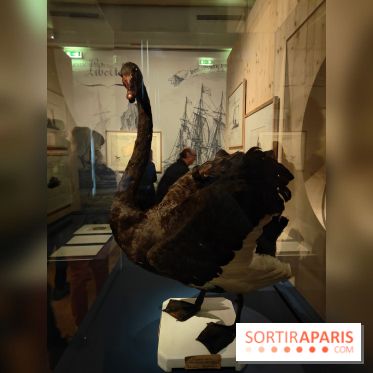 Explorateurs, une exposition du musée de l'armée