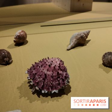 Explorateurs, une exposition du musée de l'armée