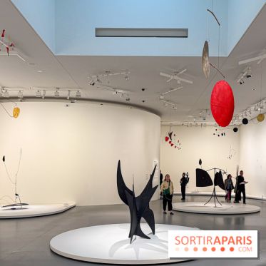 Calder. Rêver en Équilibre : l'exposition retrospective du  - IMG 3155