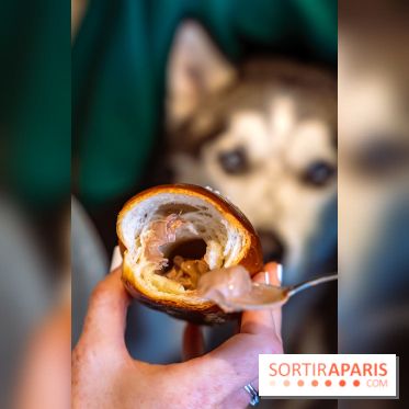 Salted Boy : le pop-up parisien du salted bread à Paris
