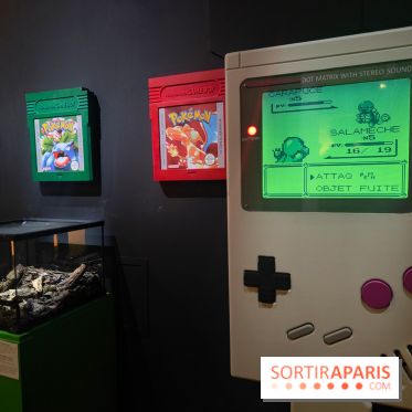 Admirez-les tous, Pokémon à l'honneur dans une exposition ludique et régressive au musée en Herbe