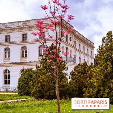 Le Château de Buc et son superbe domaine, parc paysagé aux nombreux trésors