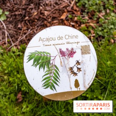 Le Château de Buc et son superbe domaine, parc paysagé aux nombreux trésors