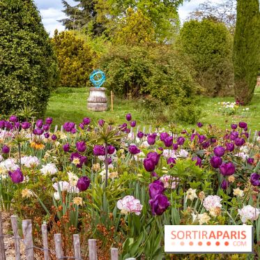 Le Château de Buc et son superbe domaine, parc paysagé aux nombreux trésors