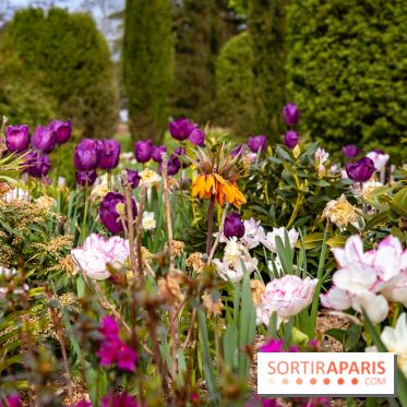 Le Château de Buc et son superbe domaine, parc paysagé aux nombreux trésors - A7C03232
