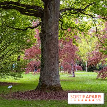 Le Château de Buc et son superbe domaine, parc paysagé aux nombreux trésors