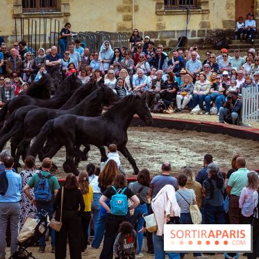 Week-end de reconstitutions desséjours de Marie-Antoinette et Louis XVI à Fontainebleau en photos
