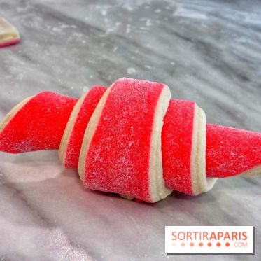 Atelier croissant bicolore - IMG 5395