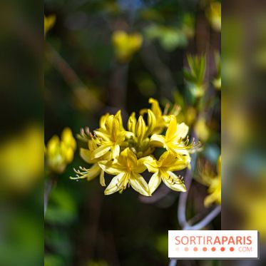 Parc et Jardins du Château de Fontainebleau - les photos