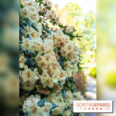 Parc et Jardins du Château de Fontainebleau - les photos