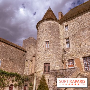 Château Musées de Nemours en Seine-et-Marne - photos - A7C04855