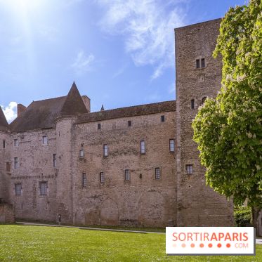 Château Musées de Nemours en Seine-et-Marne - photos - A7C04861