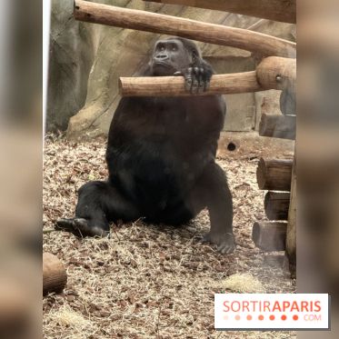 ZooParc de Beauval et Hôtel Les Pagodes de Beauval - IMG 5425