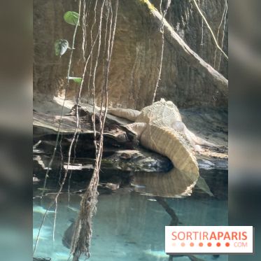 ZooParc de Beauval et Hôtel Les Pagodes de Beauval - IMG 5614