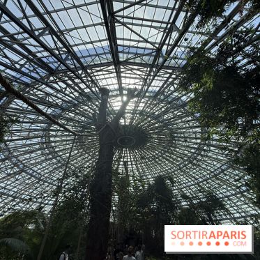 ZooParc de Beauval et Hôtel Les Pagodes de Beauval - IMG 5633