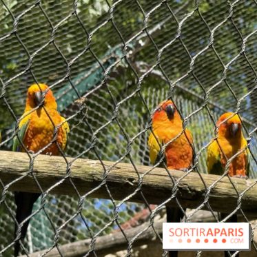 ZooParc de Beauval et Hôtel Les Pagodes de Beauval - IMG 5670