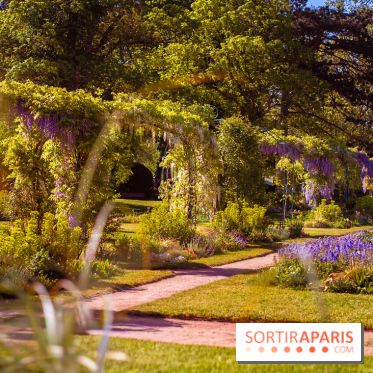 Le Parc des Ibis au Vésinet dans les Yvelines en Région Parisienne - photos