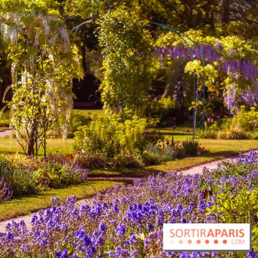 Le Parc des Ibis au Vésinet dans les Yvelines en Région Parisienne - photos  - A7200696