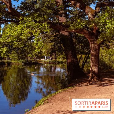 Le Parc des Ibis au Vésinet dans les Yvelines en Région Parisienne - photos  - A7200602
