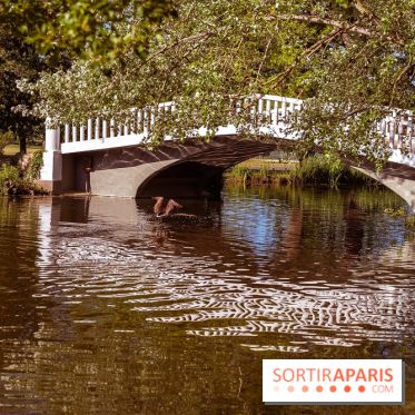 Le Parc des Ibis au Vésinet dans les Yvelines en Région Parisienne - photos  - A7200605