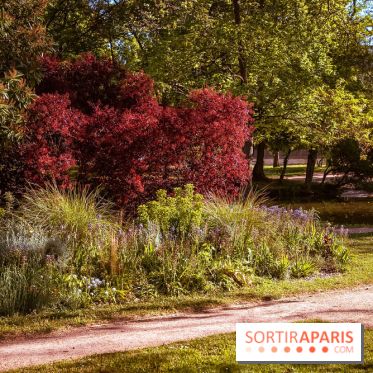 Le Parc des Ibis au Vésinet dans les Yvelines en Région Parisienne - photos