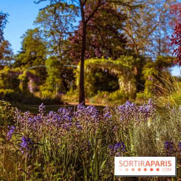 Le Parc des Ibis au Vésinet dans les Yvelines en Région Parisienne - photos