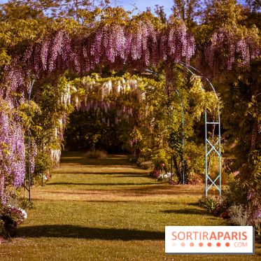 Le Parc des Ibis au Vésinet dans les Yvelines en Région Parisienne - photos  - A7200561