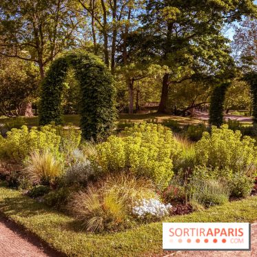 Le Parc des Ibis au Vésinet dans les Yvelines en Région Parisienne - photos  - A7200562