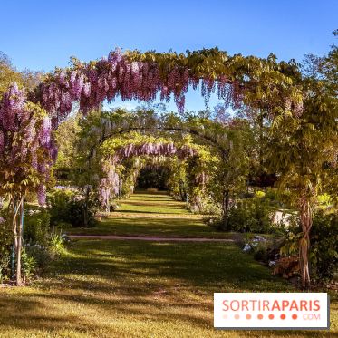 Le Parc des Ibis au Vésinet dans les Yvelines en Région Parisienne - photos  - A7200434