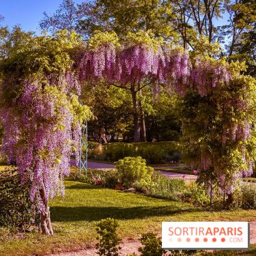 Le Parc des Ibis au Vésinet dans les Yvelines en Région Parisienne - photos  - A7200440