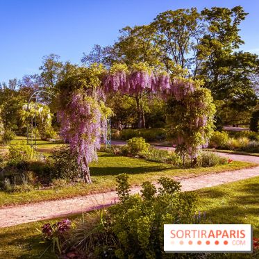 Le Parc des Ibis au Vésinet dans les Yvelines en Région Parisienne - photos  - A7200441