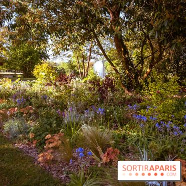 Le Parc des Ibis au Vésinet dans les Yvelines en Région Parisienne - photos  - A7200443