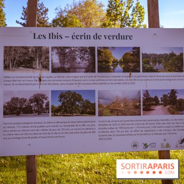 Le Parc des Ibis au Vésinet dans les Yvelines en Région Parisienne - photos  - A7200418