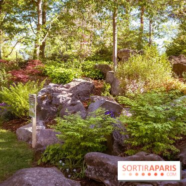 Le Parc des Ibis au Vésinet dans les Yvelines en Région Parisienne - photos  - A7200424