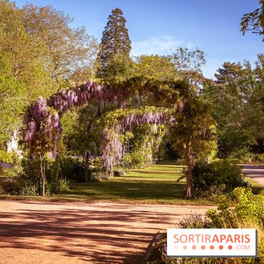 Le Parc des Ibis au Vésinet dans les Yvelines en Région Parisienne - photos